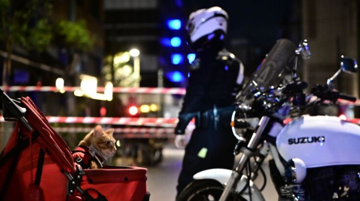 hellenic-train-vomva__4_