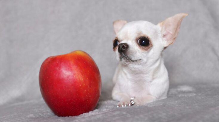 η Pearl είναι καλόκαρδη 