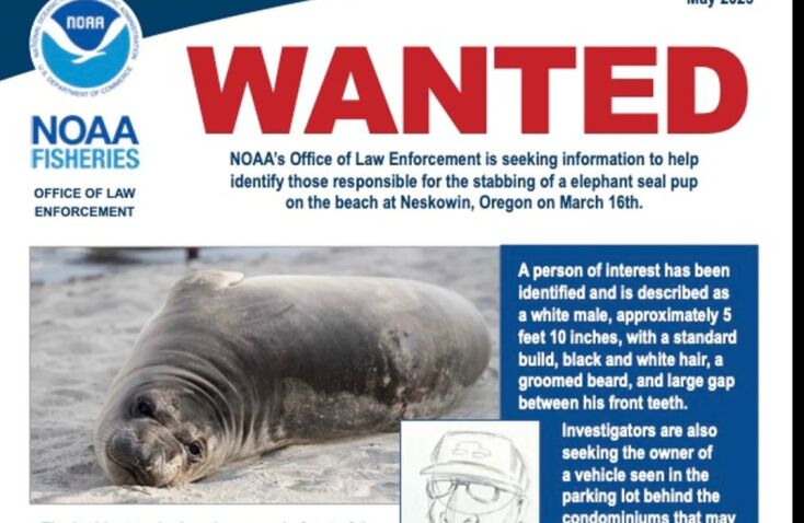 your_paragraph_text__84_