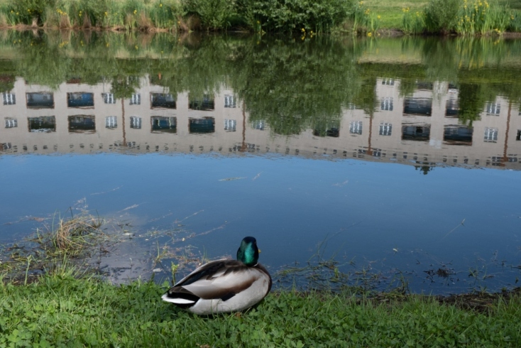 Λίτσα Σπηλιοτοπούλου, All the beautiful