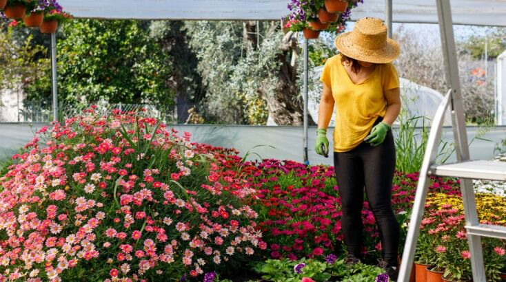 Το αγρόκτημα φροντίδας δανείστηκε το όνομά του από τον τρόπο με τον οποίο εξυπηρετεί τις παρορμήσεις των ανθρώπων να εργάζονται και να συνδέονται με άλλους