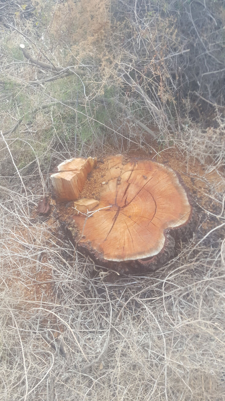 Καθαρίζω το χωράφι μου, ας εισβάλλω και στου γείτονα