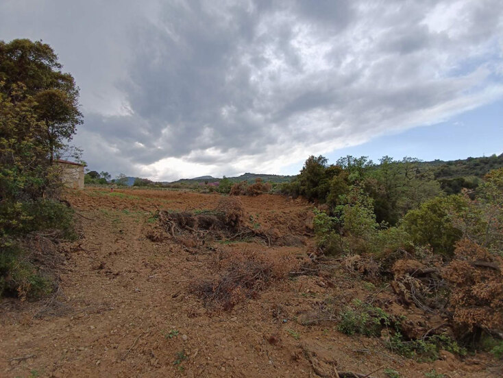 Καθαρίζω το χωράφι μου, ας εισβάλλω και στου γείτονα