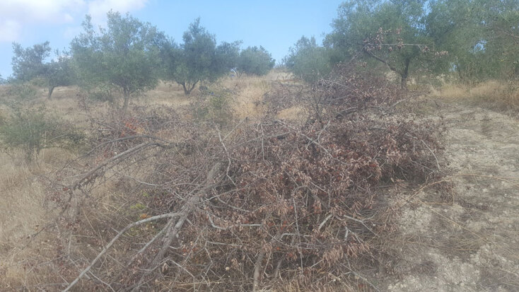 Καθαρίζω το χωράφι μου, ας εισβάλλω και στου γείτονα