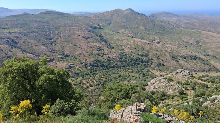 Φρύγανα και βελανιδιές στη Δυτική Λέσβο © Ελένη Γαληνού
