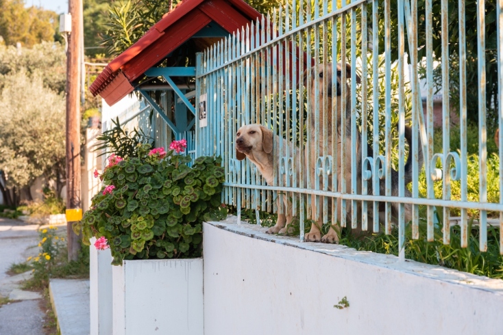 Σαλαμίνα: Εκεί που ο καλοκαιρινός χρόνος σταματά