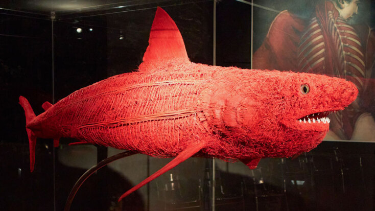 Plastinarium | Γκούμπεν, Γερμανία