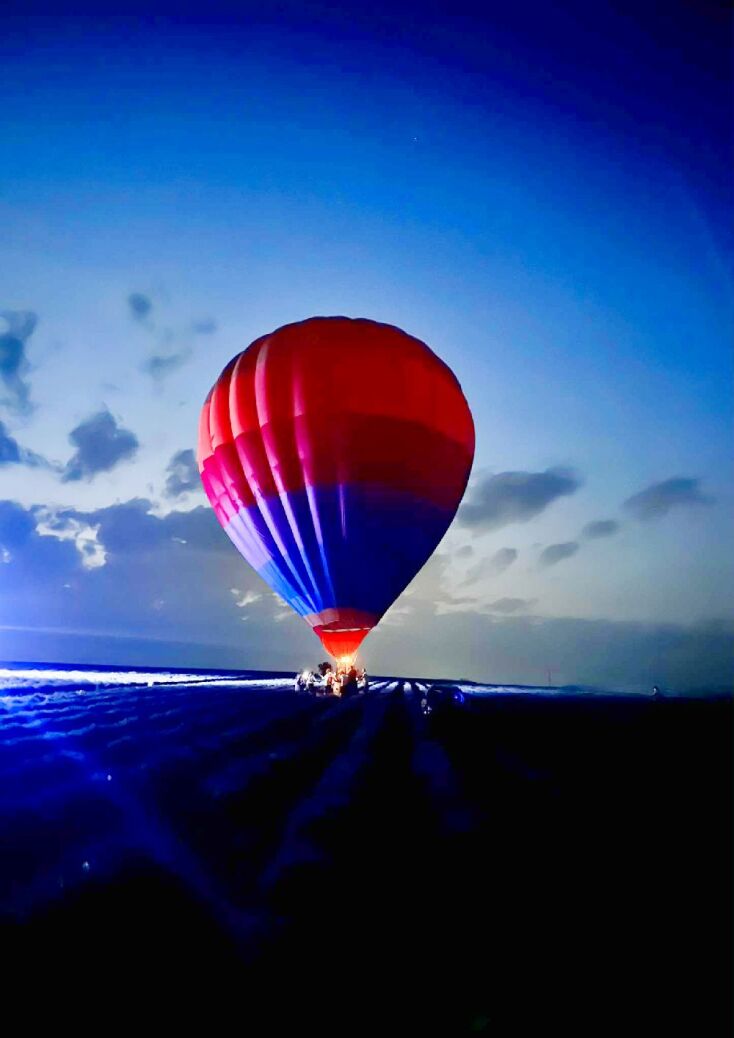 Φεστιβάλ Λεβάντας, Έβρος