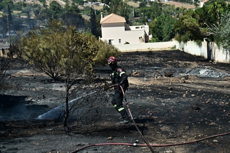 Φωτιά στο Κορωπί: Εικόνες καταστροφής με τις φλόγες να εισβάλλουν σε κατοικημένες περιοχές - Ισχυρές επίγειες και εναέριες δυνάμεις.