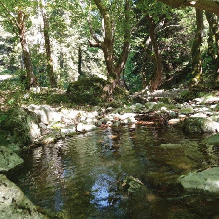 Ο συγγραφέας Γιάννης Παλαβός γράφει για την Καρυά Ολύμπου