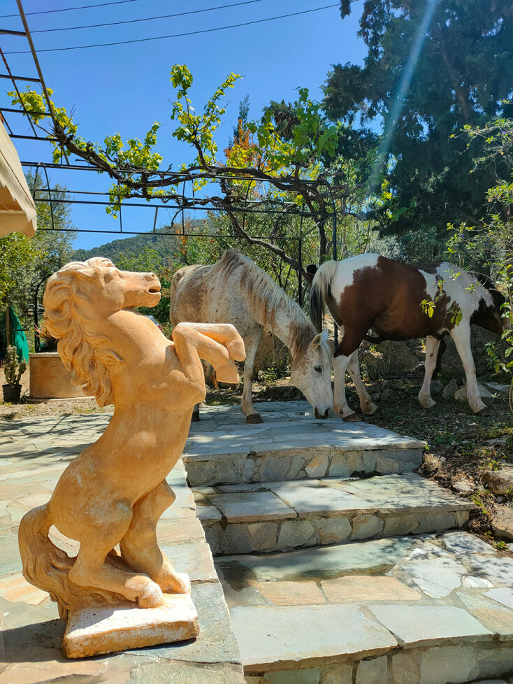 Ροσάνα Μαϊλάν: H Κουβανή τραγουδίστρια γράφει για τον Πόρο