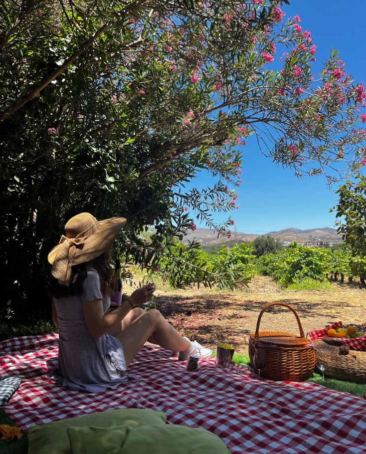 Πού θα κάνεις πικ νικ σε υπέροχο αμπελώνα πολύ κοντά στην Αθήνα;