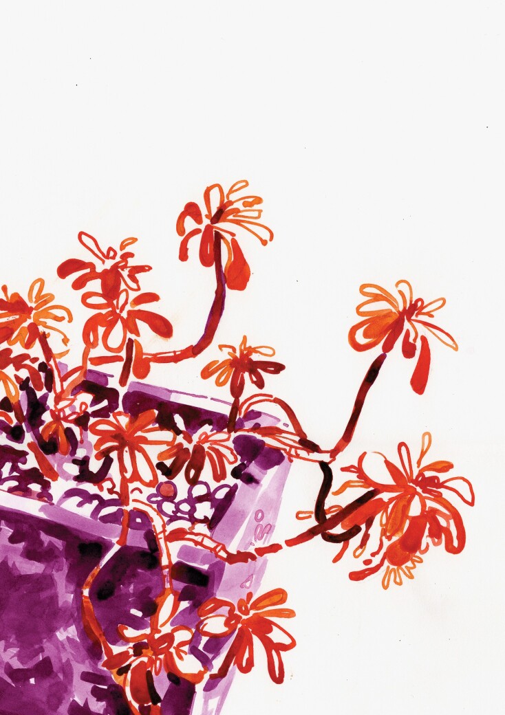 Inky Trips: Ταξίδια με Μελάνι στη Σίφνο του Γιώργου Προμπονά