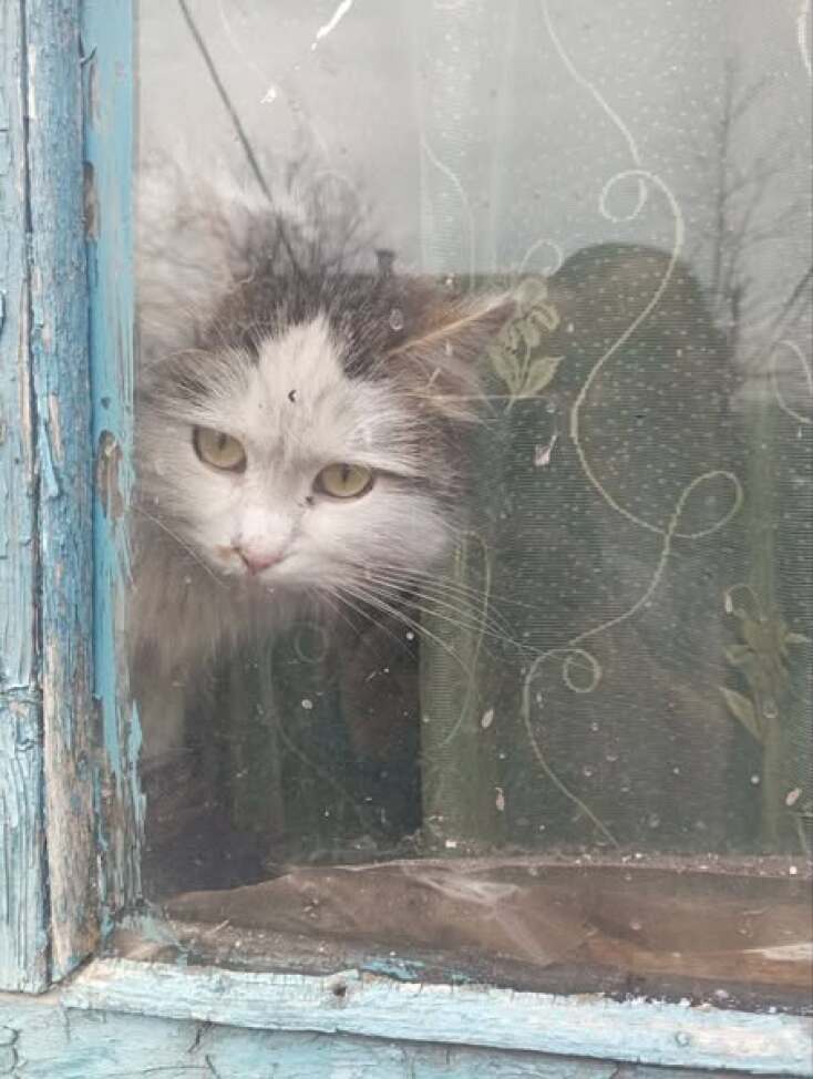 ΑΠΟΠΑΡΑΣΙΤΩΣΤΕ ΕΝΑ ΑΔΕΣΠΟΤΟ ΣΗΜΕΡΑ: ΕΙΝΑΙ ΠΑΝΕΥΚΟΛΟ