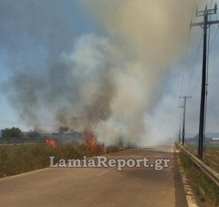 Φωτιά στον παράδρομο της εθνικής οδού Αθηνών - Λαμίας στη Θήβα