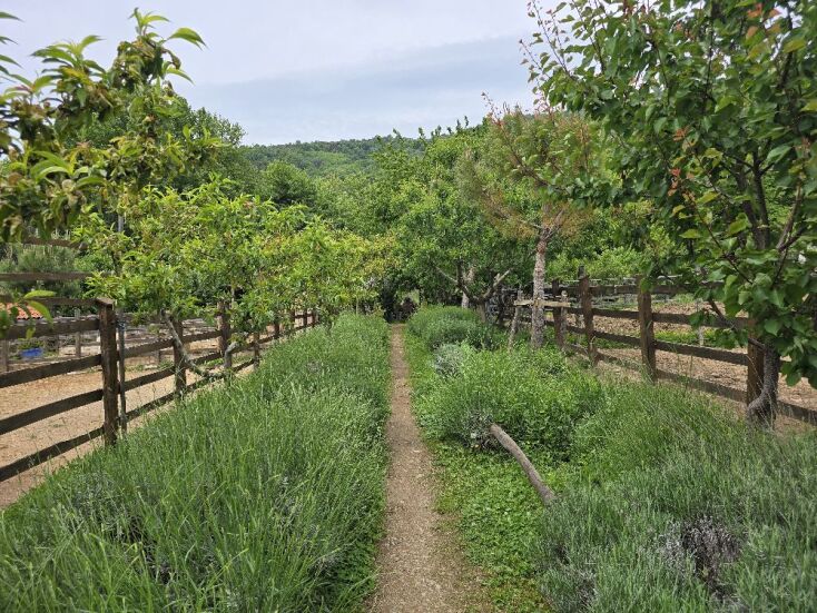 Φάρμα Καραΐσκου, Πήλιο