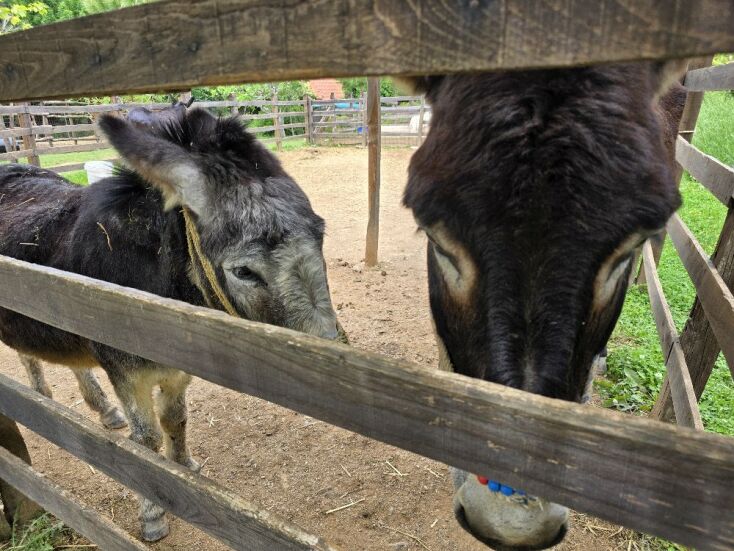 Φάρμα Καραΐσκου, Πήλιο