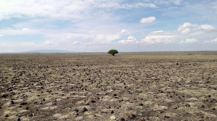 Η λειψυδρία στον κόσμο: Υπερπληθυσμός, κλιματική κρίση, έλλειψη υποδομών