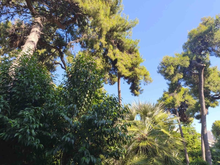 Βόλτα στο Άλσος Παγκρατίου: Μια ανάσα πρασίνου στο κέντρο της πόλης