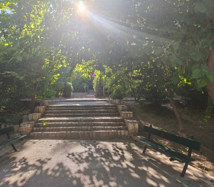 Βόλτα στο Άλσος Παγκρατίου: Μια ανάσα πρασίνου στο κέντρο της πόλης