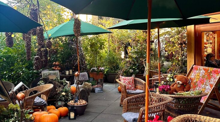 Onion Garden, London