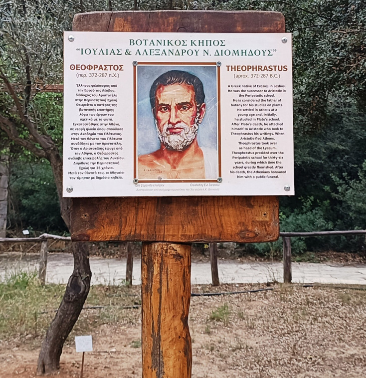 Θεόφραστος, ο πατέρας της Βοτανικής