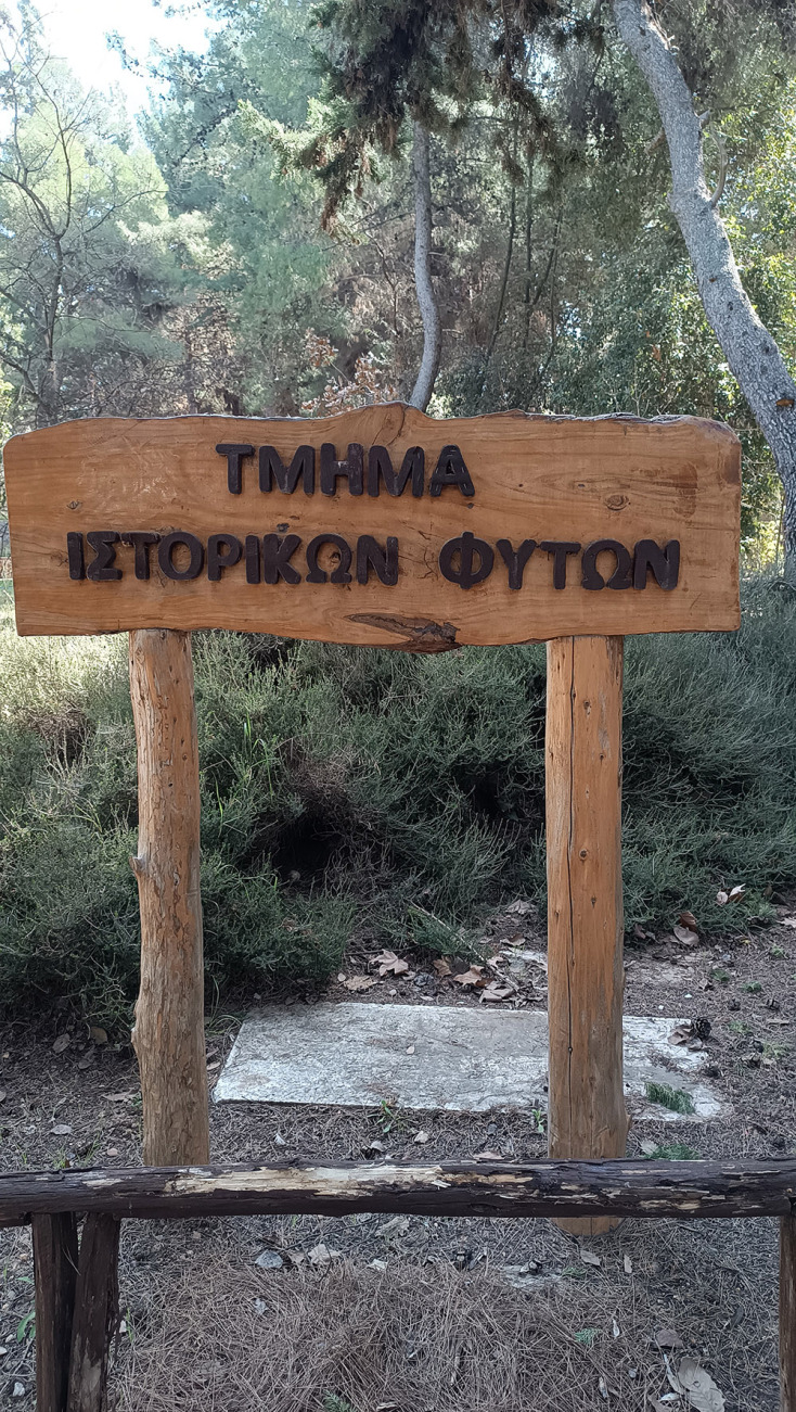 Βοτανικός Κήπος Διομήδους