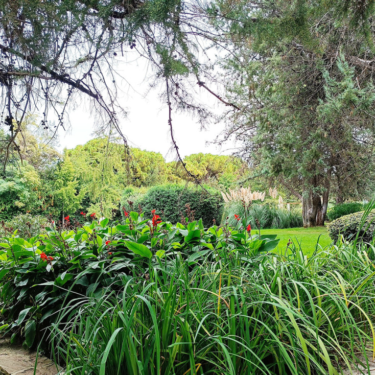 Βοτανικός Κήπος Διομήδους