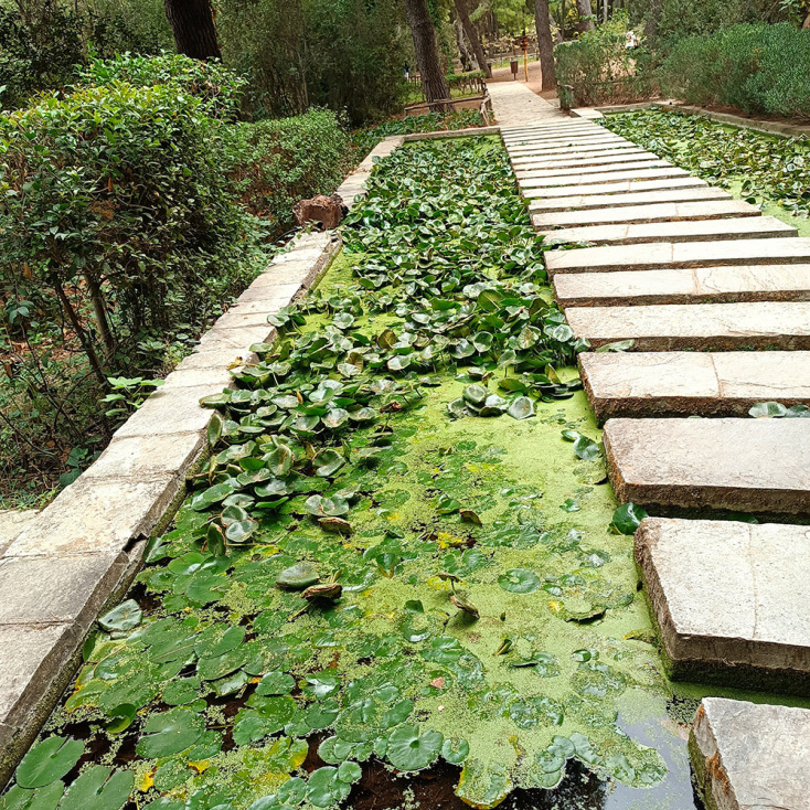 Βοτανικός Κήπος Διομήδους