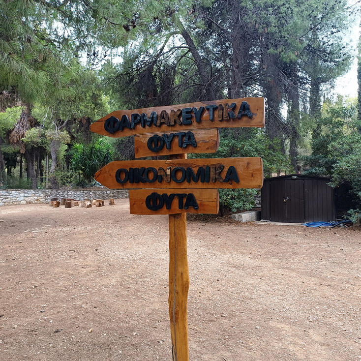 Βοτανικός Κήπος Διομήδους