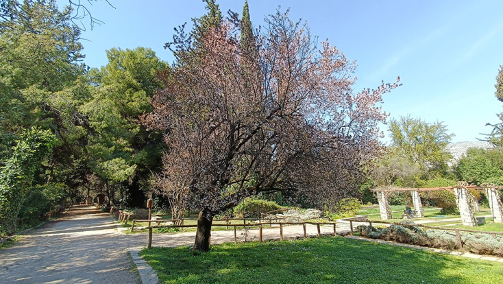 Βοτανικός Κήπος Διομήδους