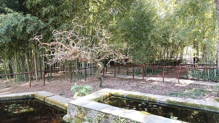 Βοτανικός Κήπος Διομήδους