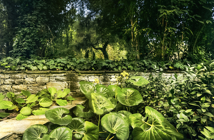 Shapes & Lines @ Ντόρα Γριβοπούλου