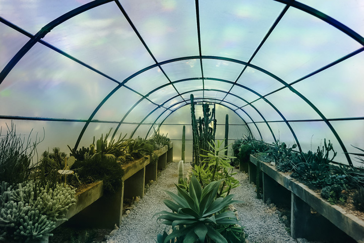 The Greenhouse @ Ντόρα Γριβοπούλου