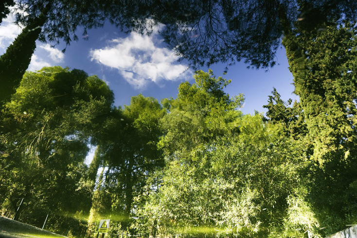 The Lake @ Ντόρα Γριβοπούλου