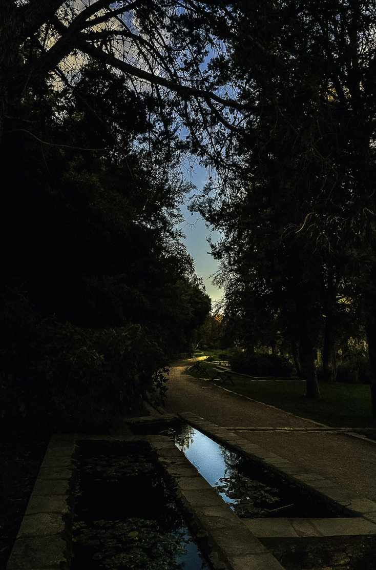 The Road @ Ντόρα Γριβοπούλου