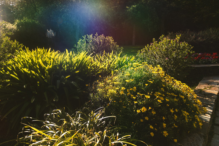 Flowers @ Ντόρα Γριβοπούλου