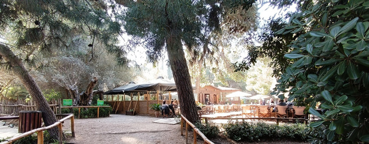 Το κυλικείο του Βοτανικού Κήπου Διομήδους