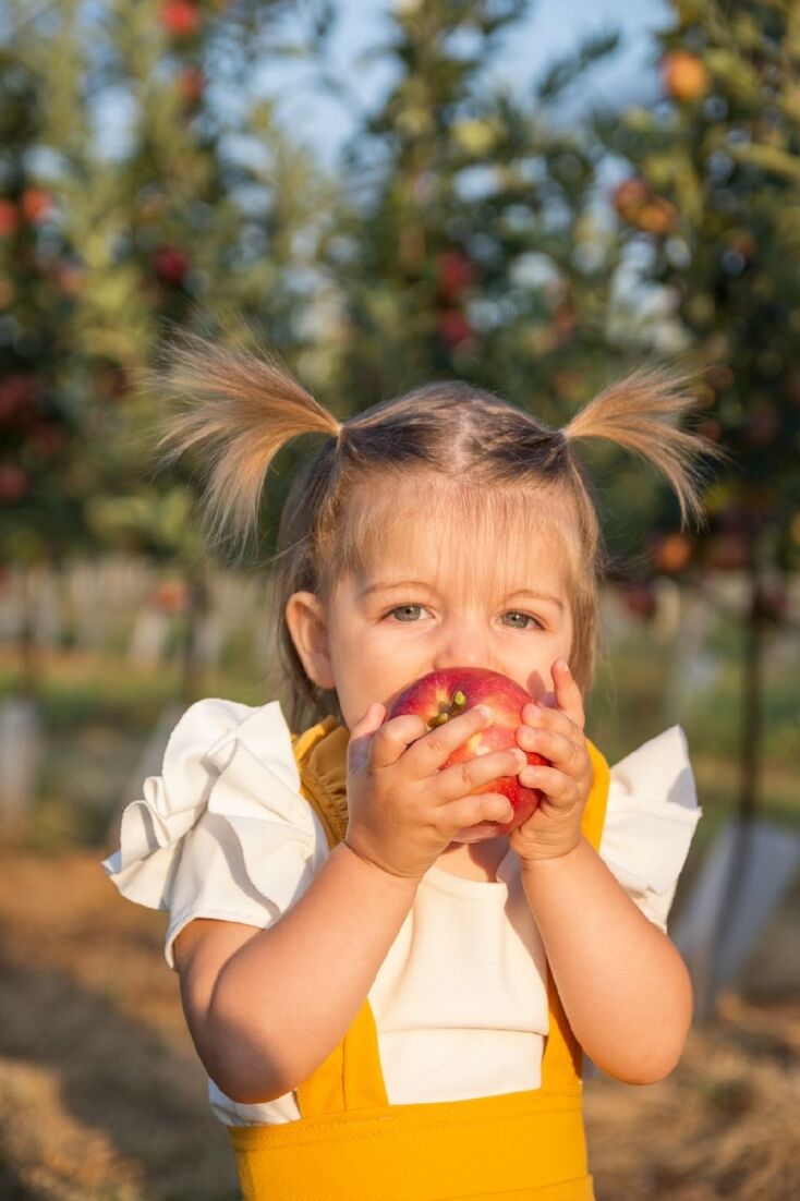 «100% σπιτικός χυμός μήλου, Μήλα Παγγαίου»