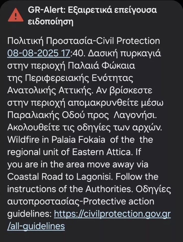 viber_image_2025-08-08_17-43-11-501