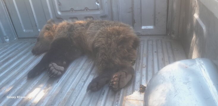 πηγη_φωτογραφιας_καλλιστω