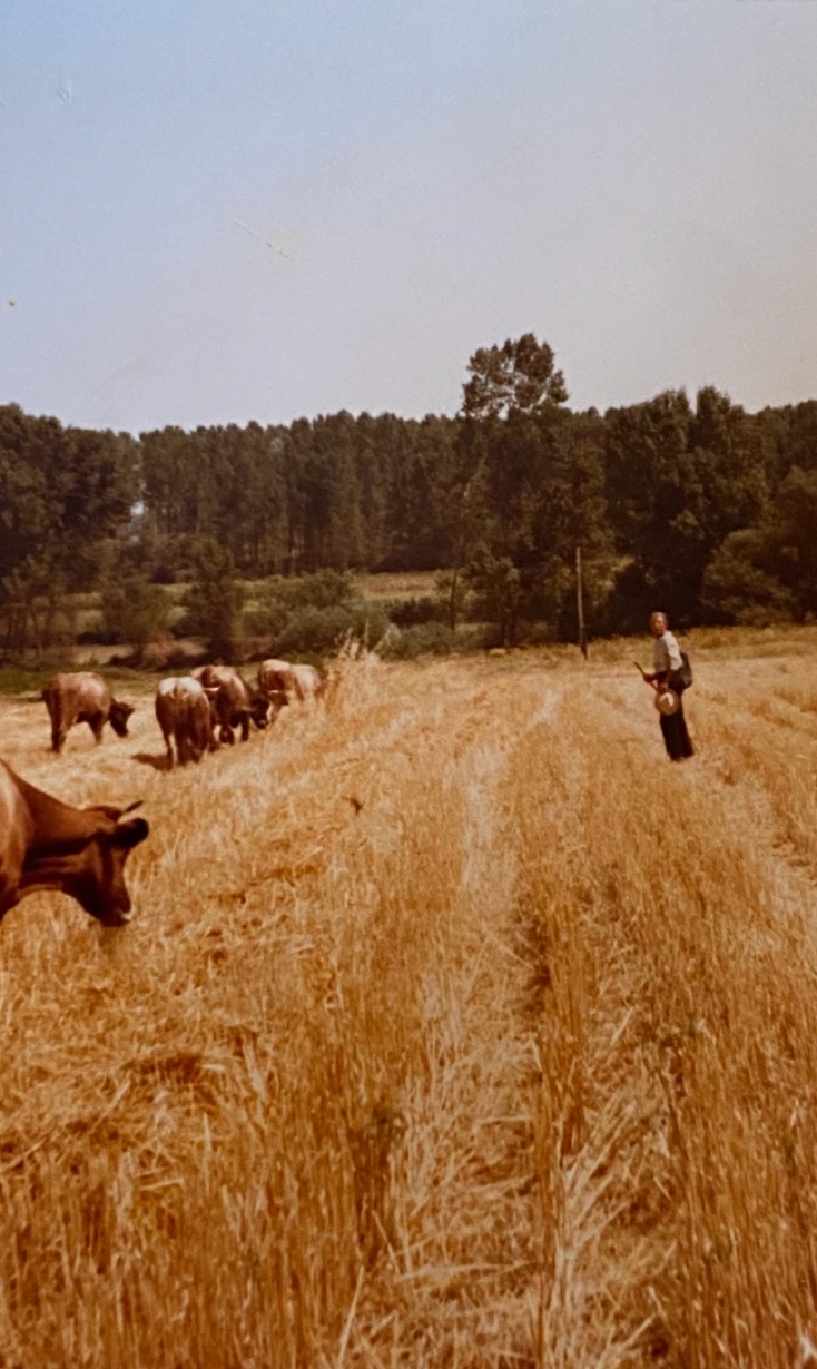 August diaries - Ημερολόγια Αυγούστου: Οι συνεργάτες της Athens Voice γράφουν για το δικό τους καλοκαίρι