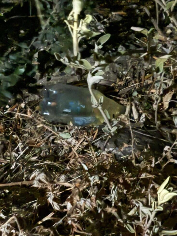 O εμπρηστικός μηχανισμός στα Συχαινά της Πάτρας