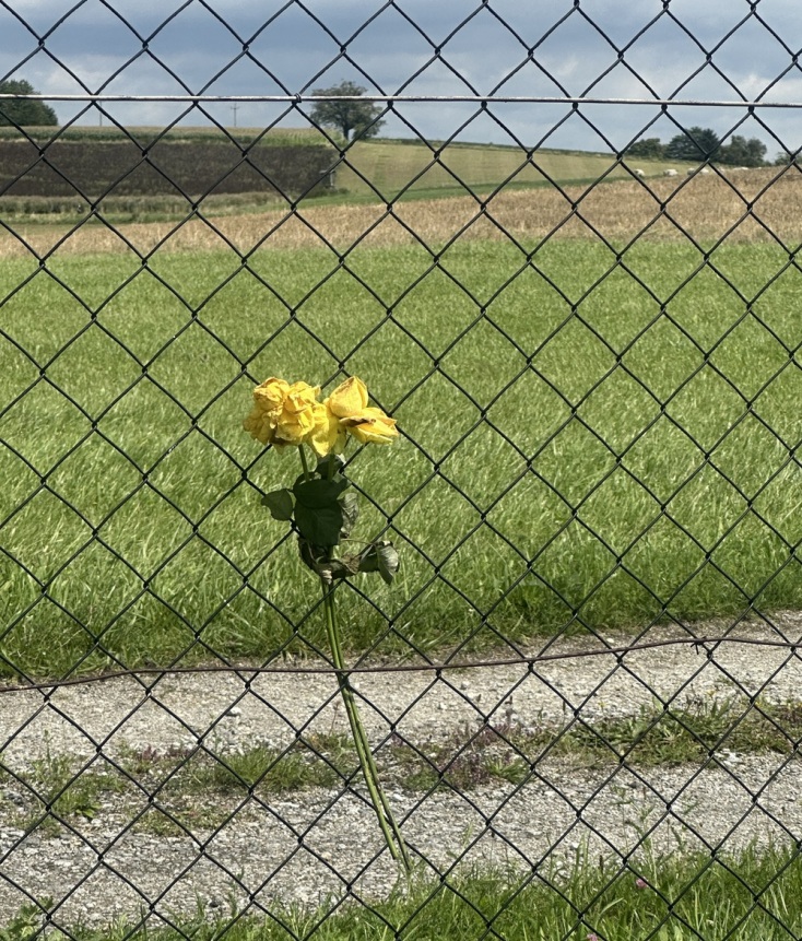 Το Μαουτχάουζεν, ο Θεοδωράκης και το σημαντικότερο μουσικό έργο που γράφτηκε ποτέ για το Ολοκαύτωμα 