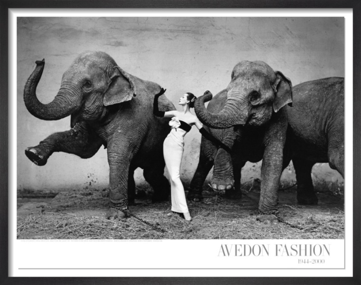 Η Δύναμη της Φωτογραφίας: Από τους Σταθμούς της Ιστορίας έως τις Χαμένες Στιγμές