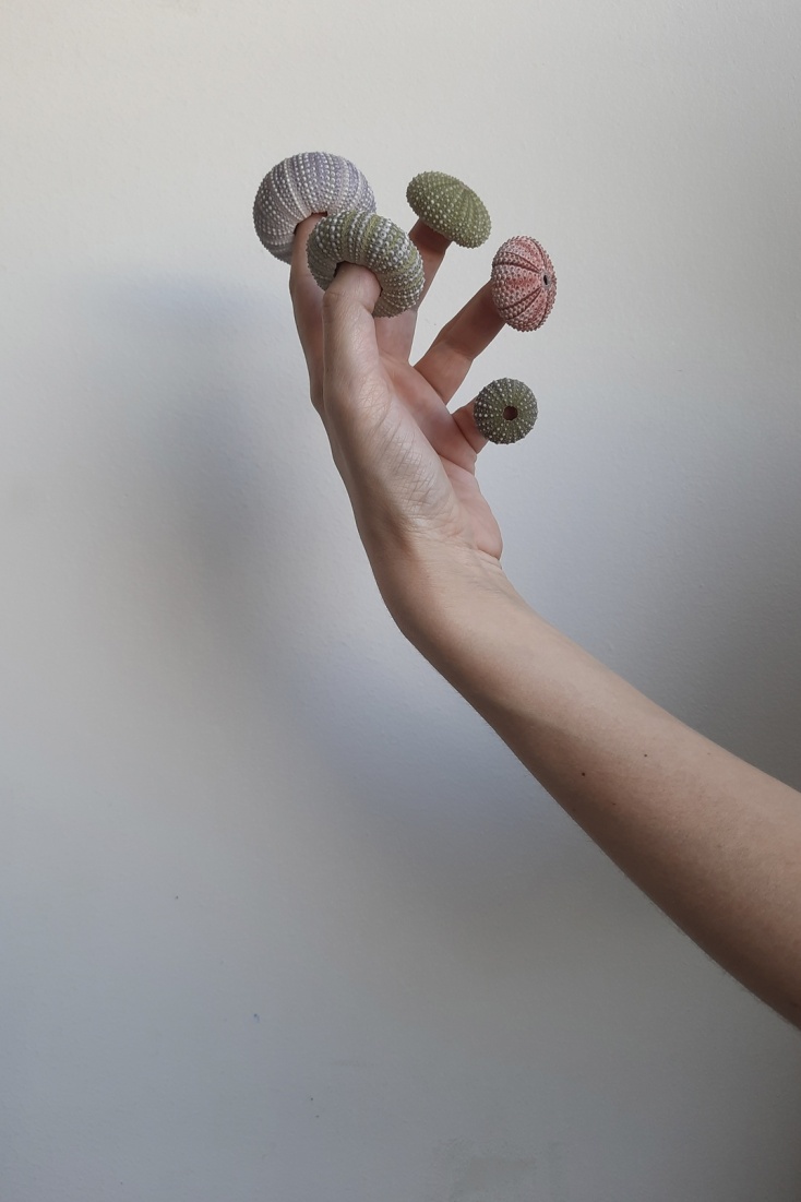 Ασπασία Ζουλιάτη