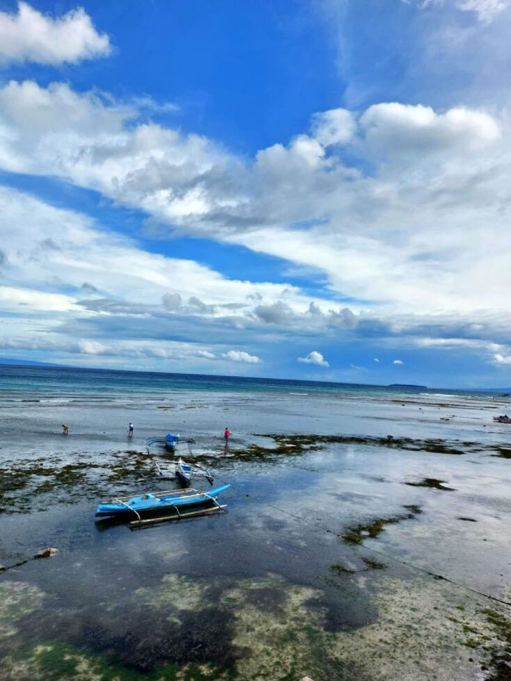 Oslob, Cebu