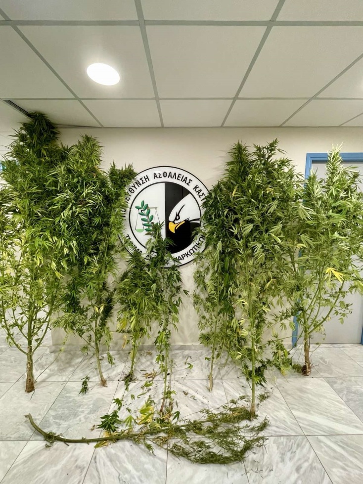 Συνελήφθη 54χρονος στην Καστοριά για ναρκωτικά - Ο αστυνομικός σκύλος Ορφέας εντόπισε δενδρύλλια και ποσότητες ινδικής κάνναβης.