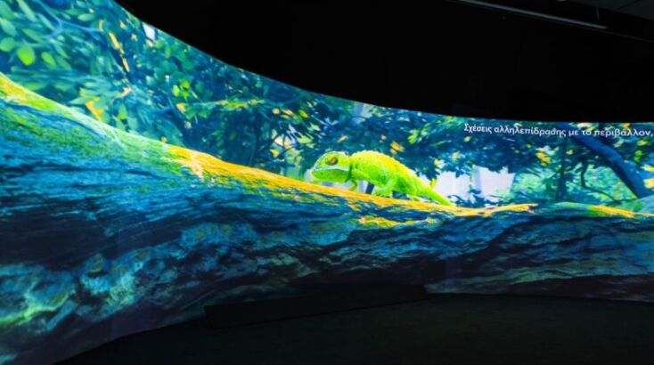 H Έκθεση φωτίζει το αλληλένδετο της ζωής, ενεργοποιεί τον νου, εγείρει το συναίσθημα, μεταφέρει τη γνώση