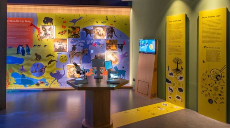 H Έκθεση με τίτλο «Βιοποικιλότητα. Όλα συνδέονται», μας υπενθυμίζει πως τίποτα γύρω μας δε μπορεί να λειτουργήσει ανεξάρτητα